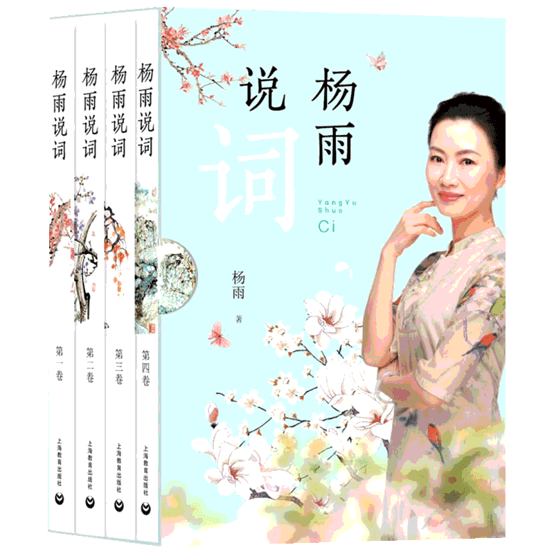 杨雨说词(4册)杨雨著文学理论书籍