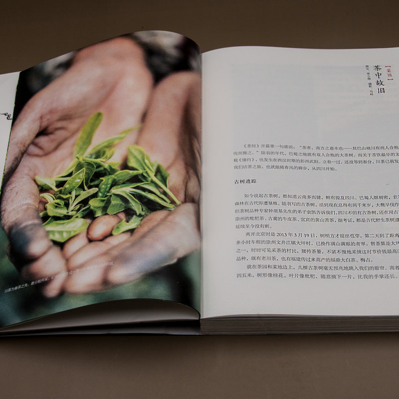 正版包邮茶之路中国博物推荐图书