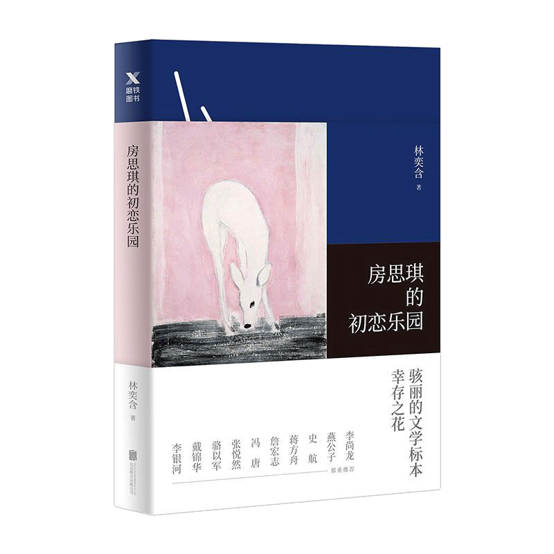 房思琪的初恋乐园正版台湾的畅销书