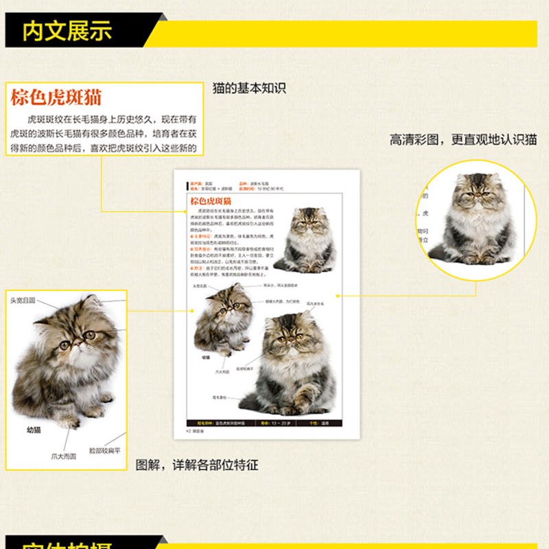 猫图鉴179书籍猫咪关于书养猫手册