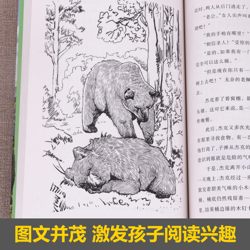 【学校指定版】沈石溪动物书目畅销书