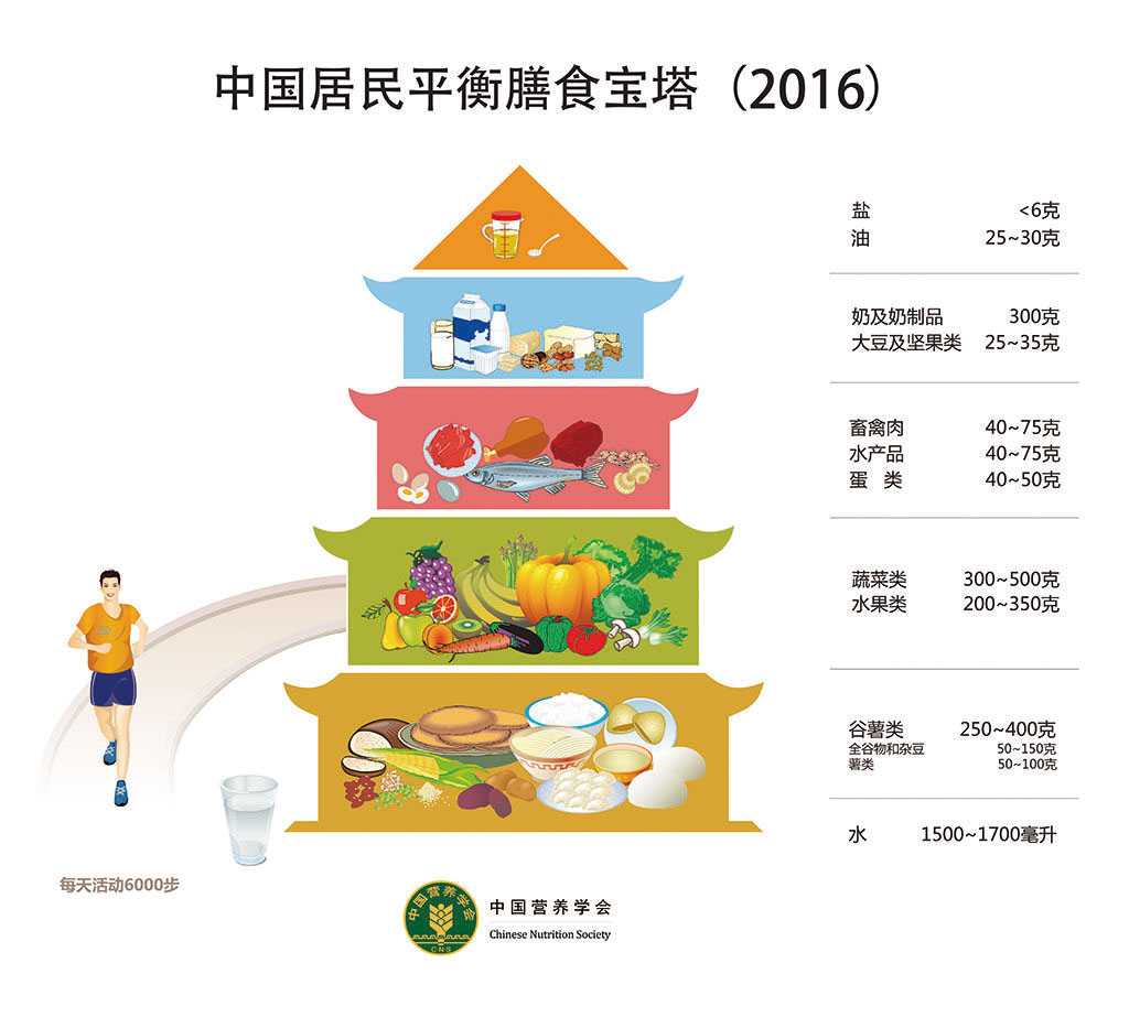 现货速发中国居民膳食指南2016书籍