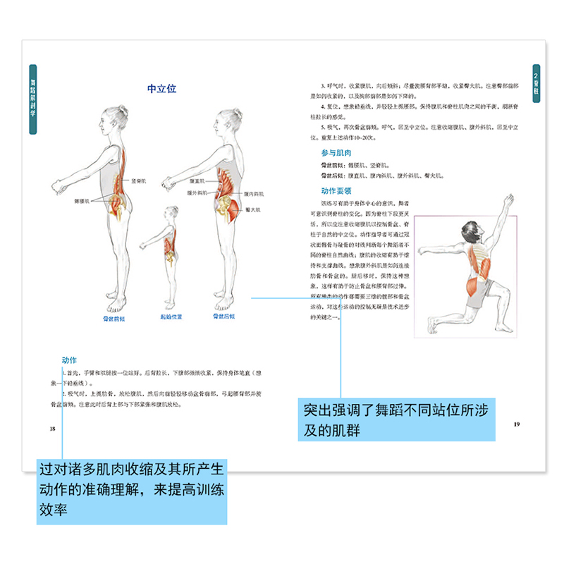 正版舞蹈解剖学教程基本功解剖教材