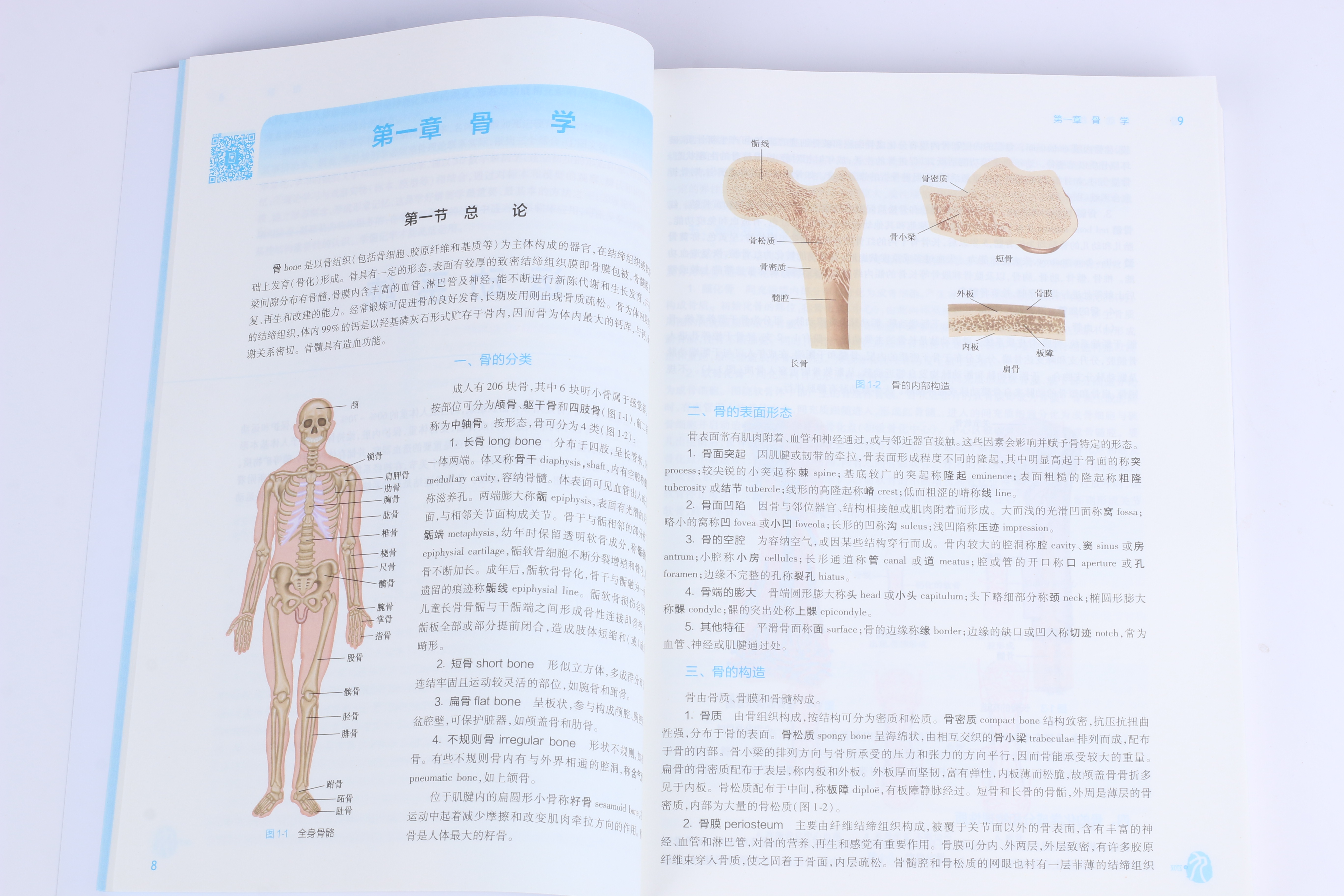 人卫版系统解剖学第9版第九版教材