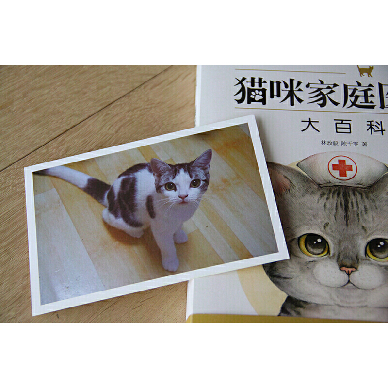 猫咪家庭医学大百科养猫猫咪猫书