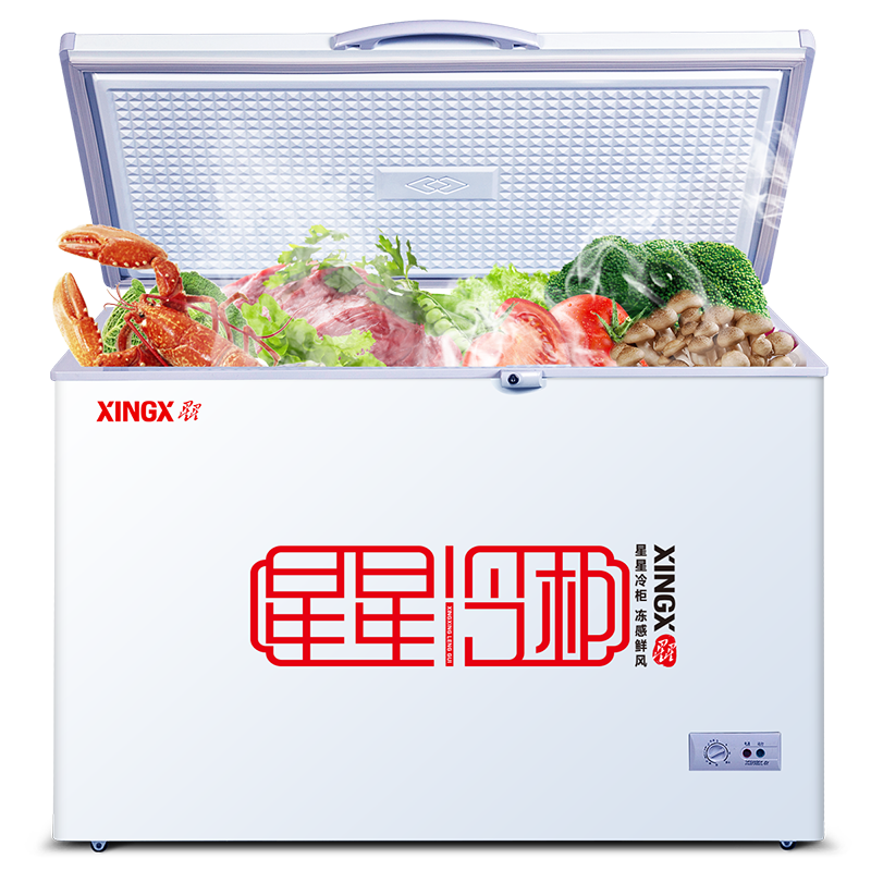 XINGX星星305升冰柜商用大容量家用小冷柜小型冰箱卧式冷藏冷冻柜